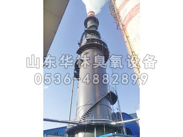 山西熱力有限公司-2臺40KG氧氣源煙氣脫硝大型臭氧發生器